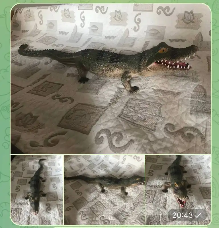 Крокодил 78 см