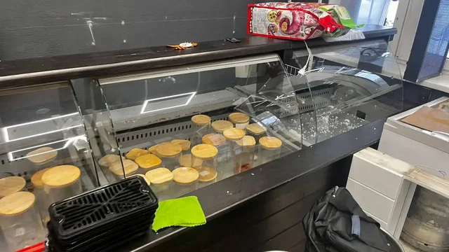 Продажа холодильников разных размеров - Рюкзаки в Москва