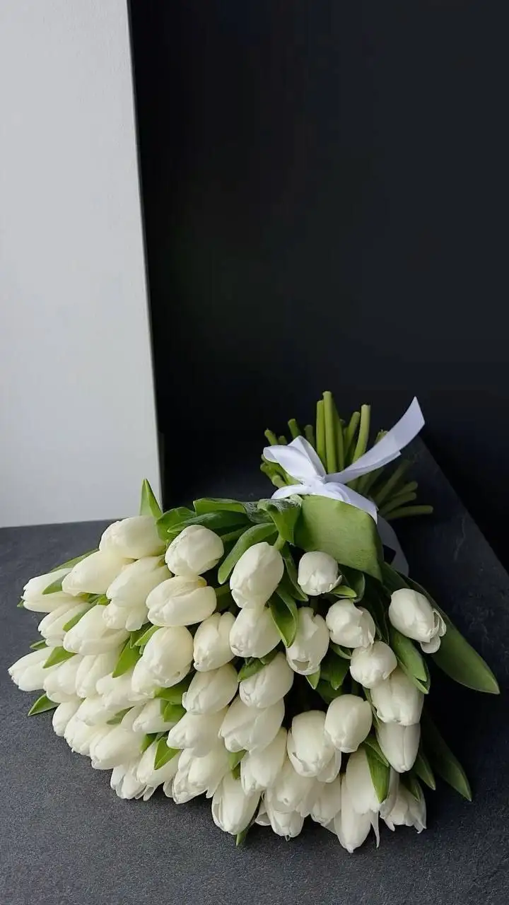 Свежие цветы к 8 марта - Цветы (Барахолка) в Москва