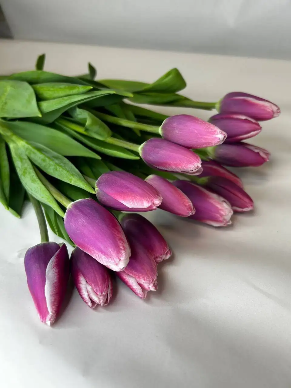 Тюльпаны к 8 марта - Цветы (Барахолка) в Москва