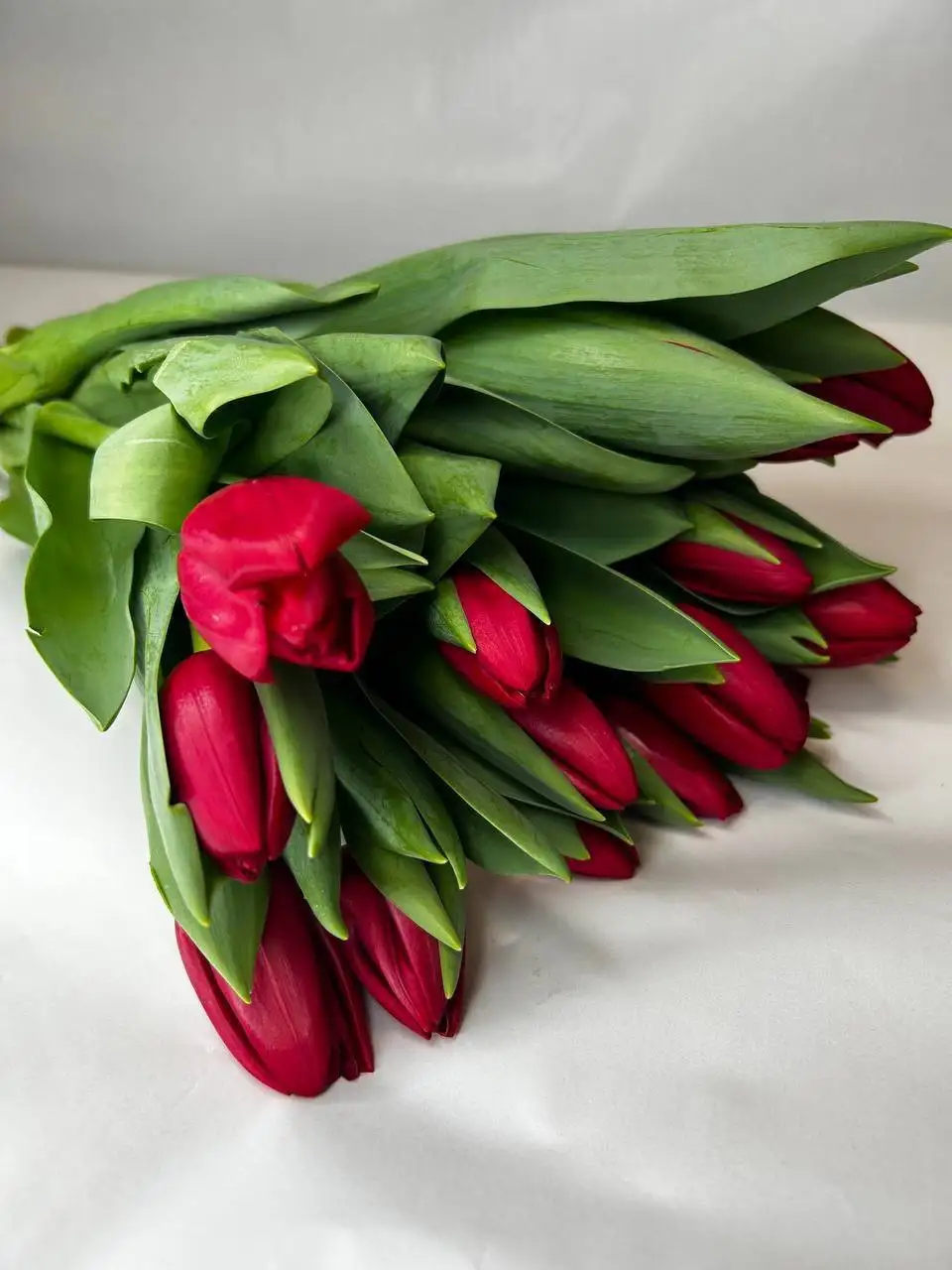 Тюльпаны к 8 марта - Цветы (Барахолка) в Москва