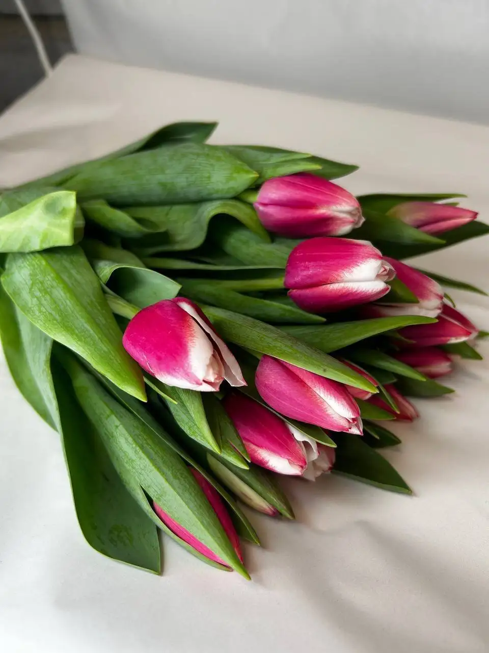 Тюльпаны к 8 марта - Цветы (Барахолка) в Москва