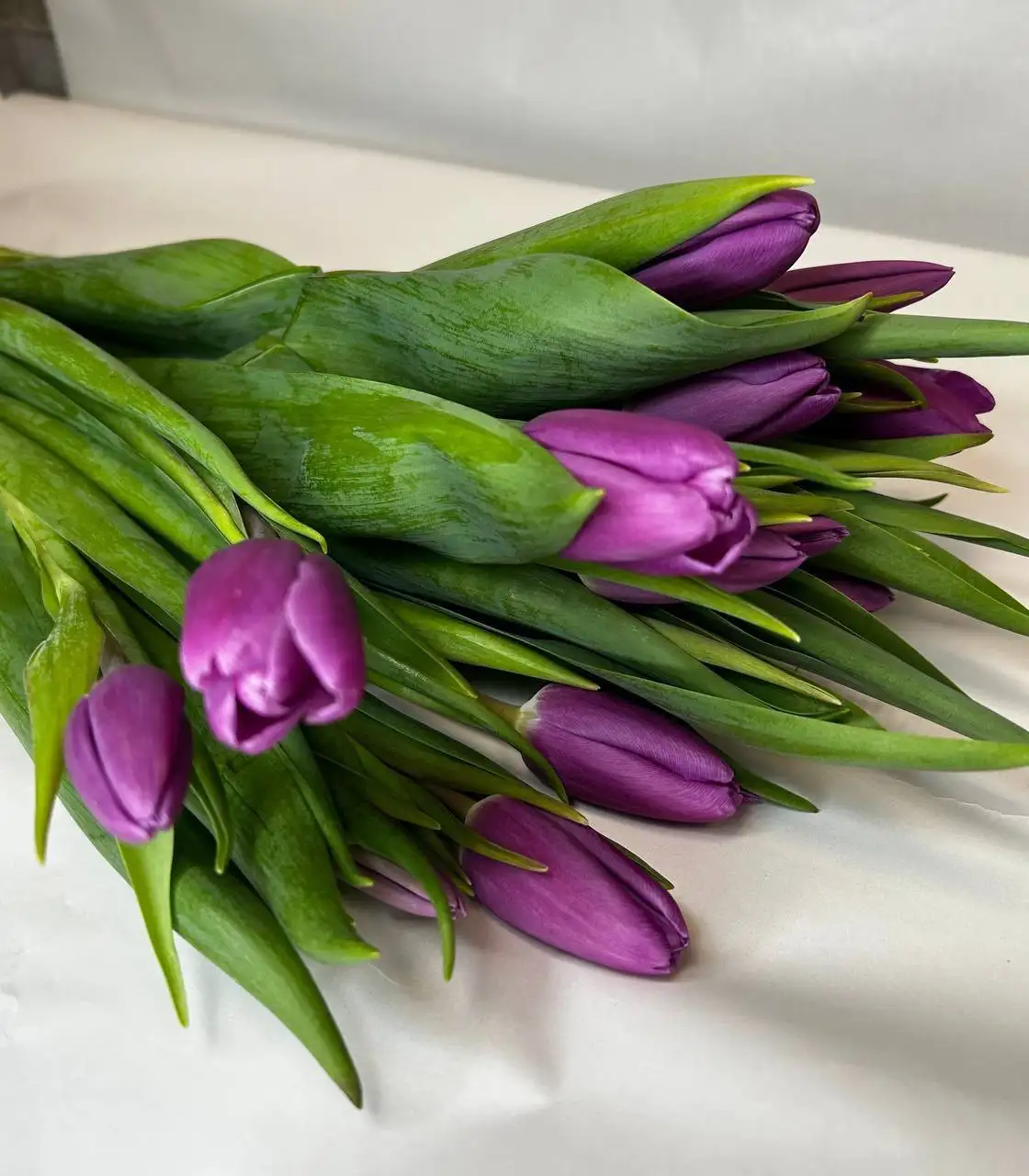 Тюльпаны к 8 марта - Цветы (Барахолка) в Москва