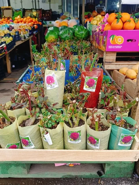 Продажа через личку | Москва | Барахолка - Коллекционные предметы в Москва