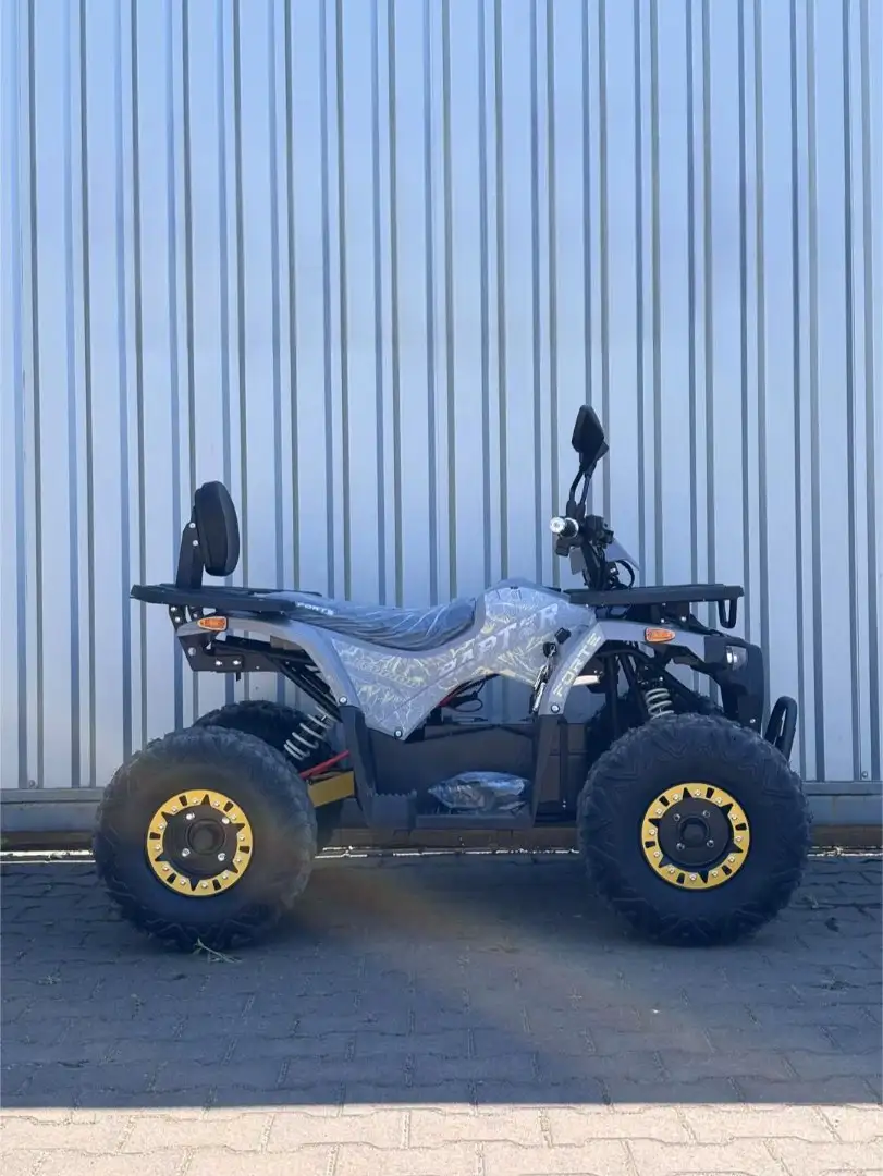 Квадроцикл Forte Raptor 2000w - Квадроциклы (Авто) в Москва