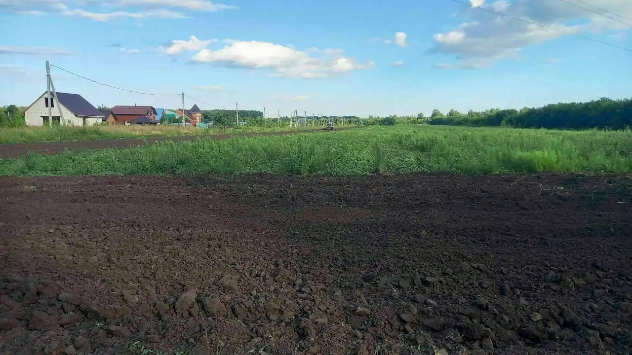 Продажа сельхоз земли в Барнауле и окрестностях