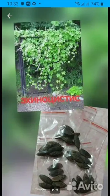 Продажа семян в Барнауле - Сумки в Барнаул