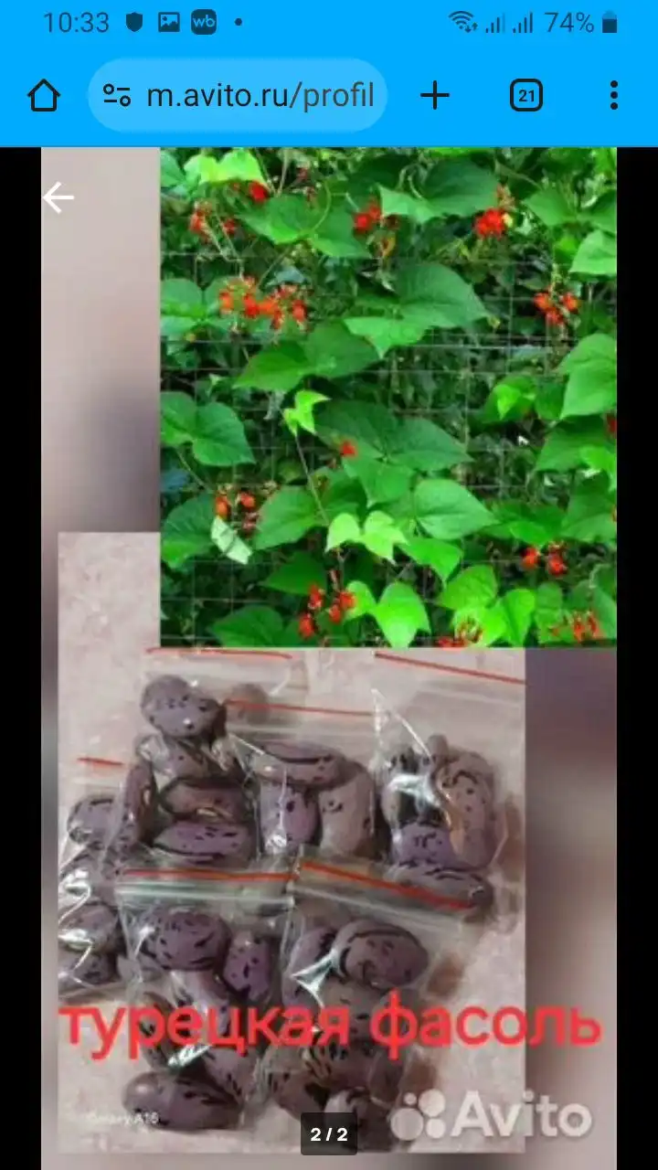 Продажа семян в Барнауле - Барахолка в Барнаул