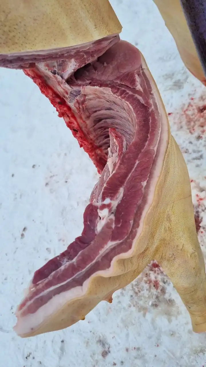Продажа деревенской свинины тушами и частями - Продукты питания (Барахолка) в Барнаул
