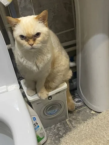 Покупка iPhone 14 Pro или iPhone 15 - Телевизоры в Барнаул