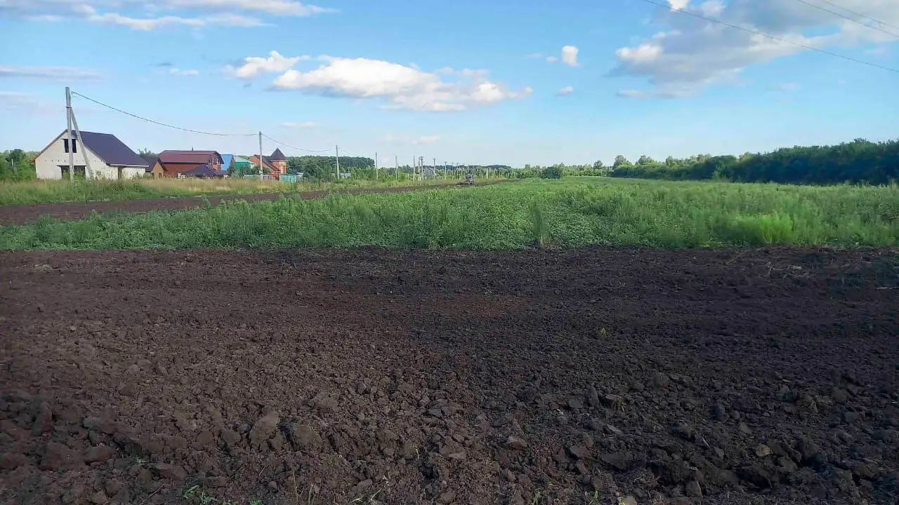 Продажа сельхоз земли в Барнауле и окрестностях - Земля (Недвижимость) в Барнаул