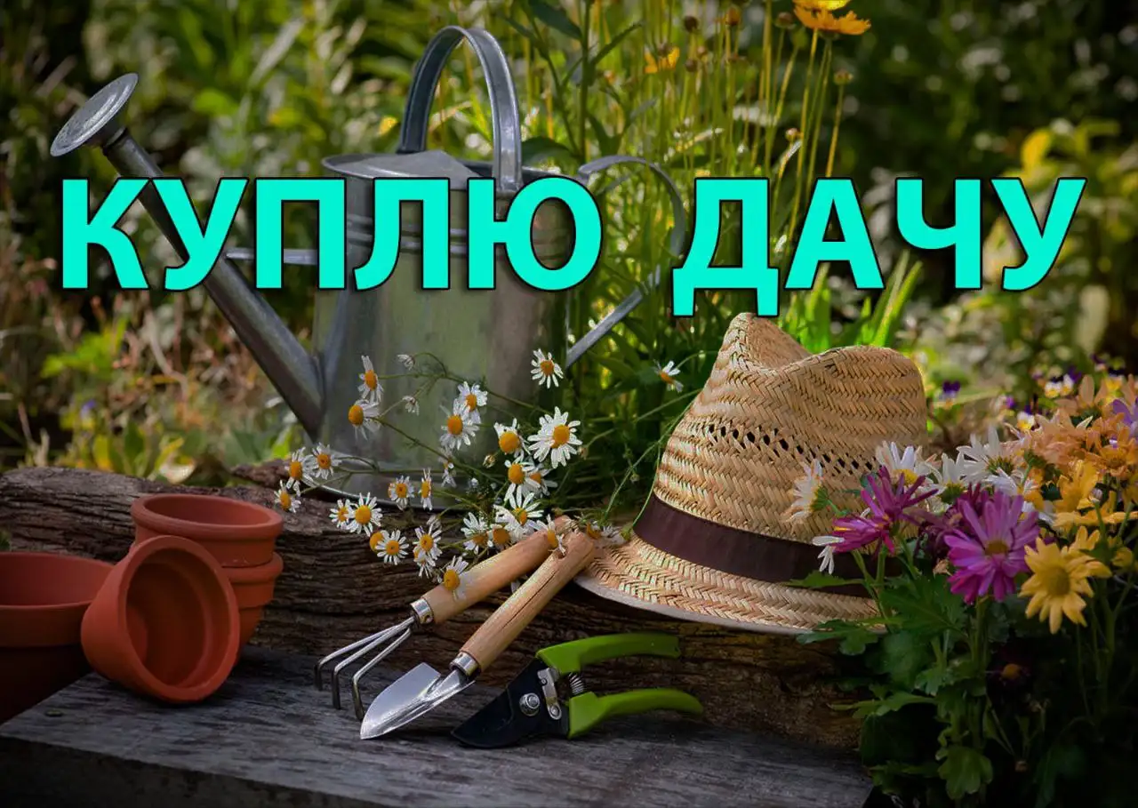 Покупка дачи в Барнауле - Дачи (Недвижимость) в Барнаул