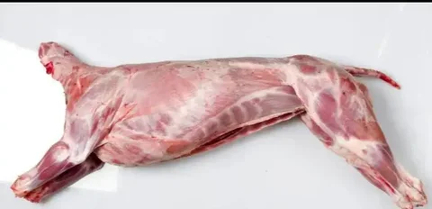 Продажа свежей баранины собственного хозяйства - Освещение в Барнаул