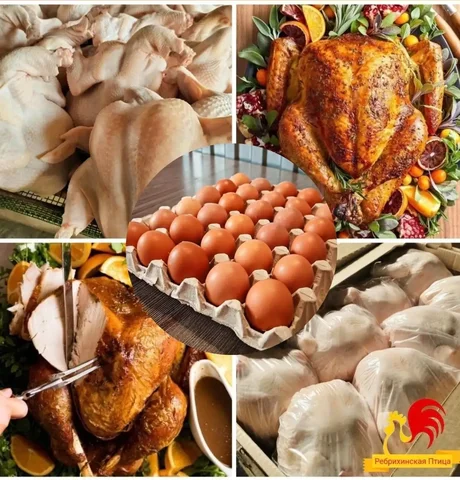 Продажа фермерского мяса птицы и яиц с доставкой в Барнаул - Сельскохозяйственные животные/птица в Барнаул