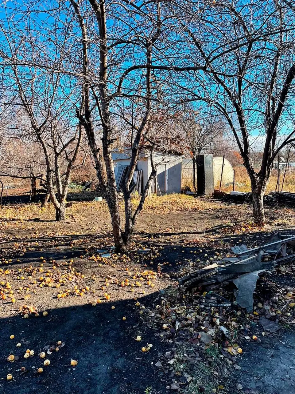 Продается земельный участок на Павловском тракте в садоводстве Простор - Земельные участки (Недвижимость) в Барнаул