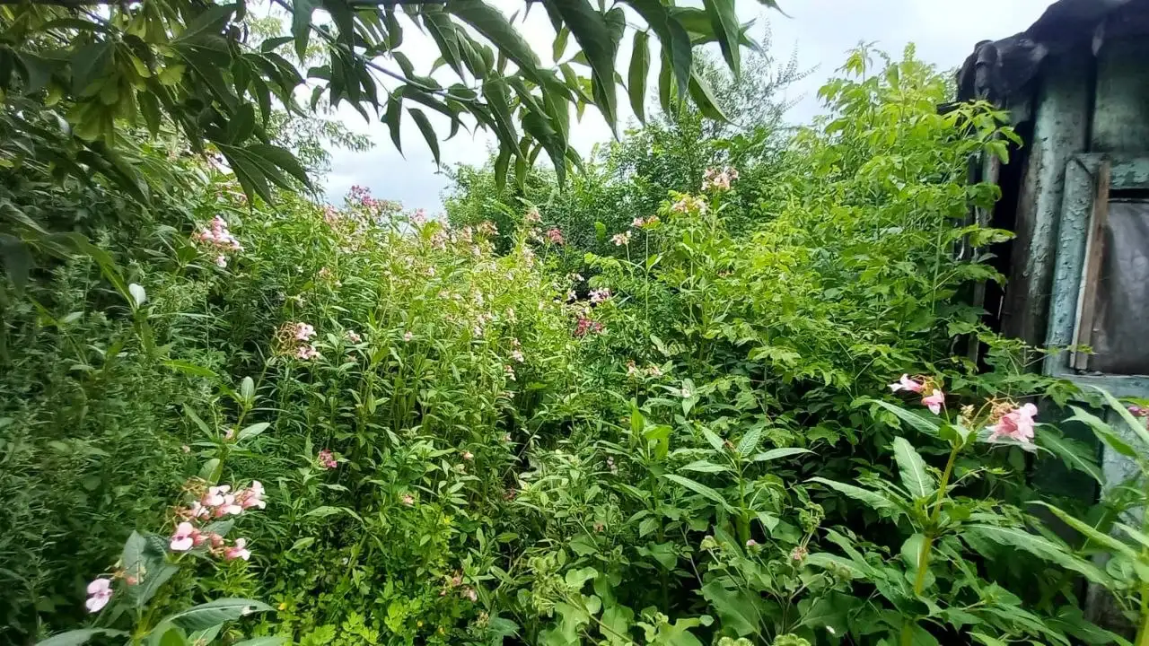 Продажа земельного участка 4,4 сотки - Земельные участки (Недвижимость) в Барнаул