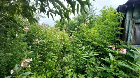 Продажа земельного участка 4,4 сотки - Коммерческая недвижимость в Барнаул