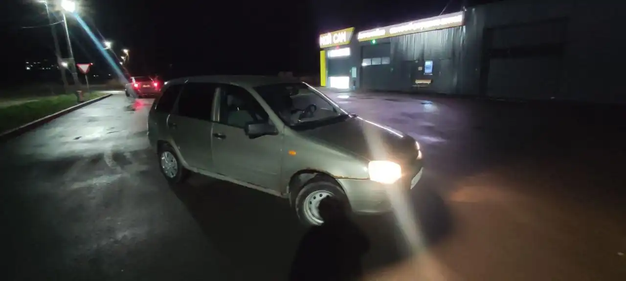 Калина 2012 год