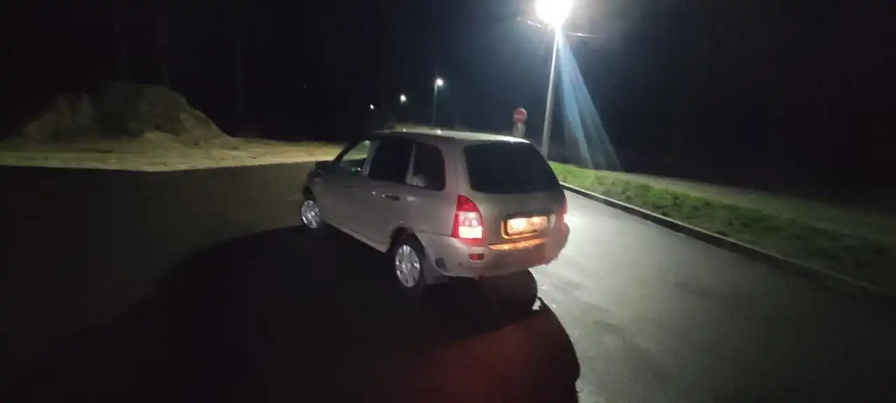 Калина 2012 год