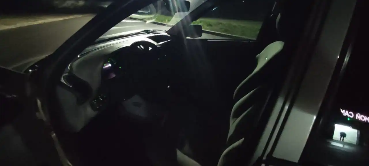 Калина 2012 год