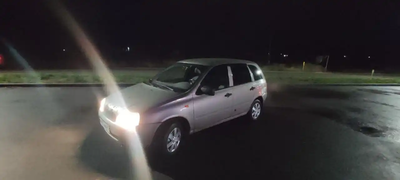 Калина 2012 год