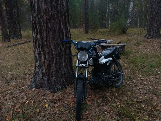 Продажа мопеда Alpha RX 110 2023 года - частное объявление в Саранск
