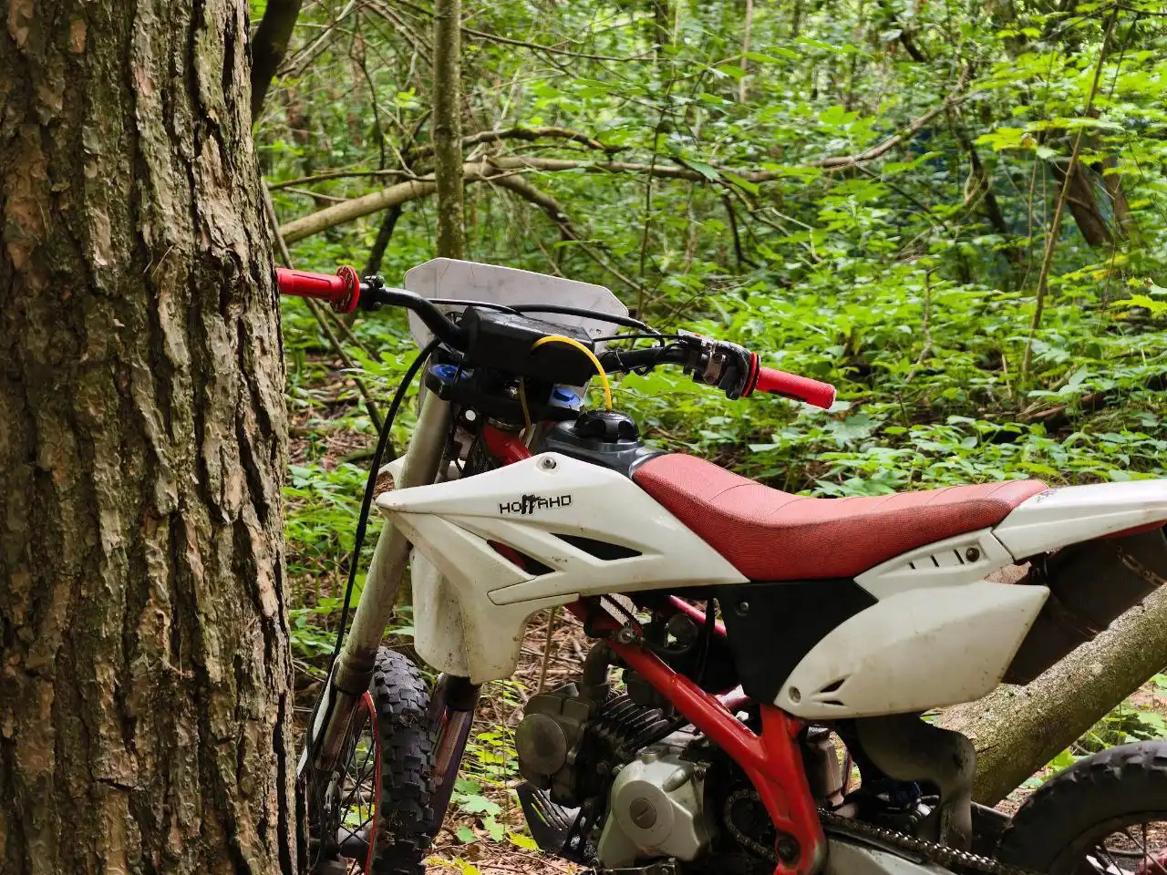 Продам Пит фастом - Мотоциклы (Барахолка) в Саранск