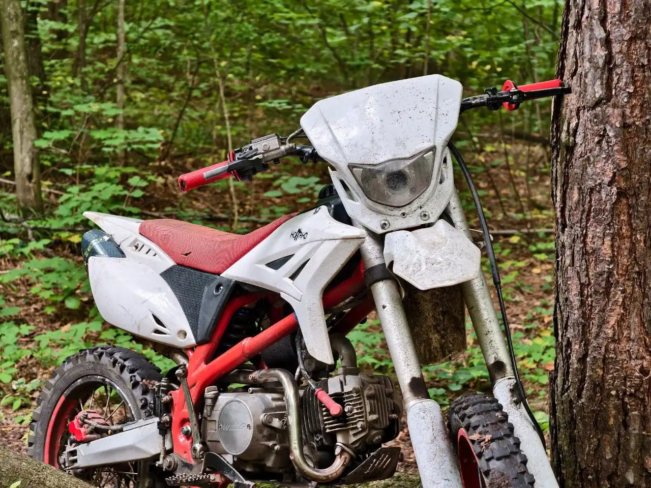 Продажа питбайка на полном ходу - Мотоциклы (Авто) в Саранск