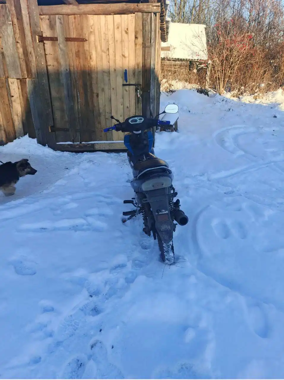 Продажа мопеда RACER CM110 125 кубов - Грузовики и фургоны в Саранск