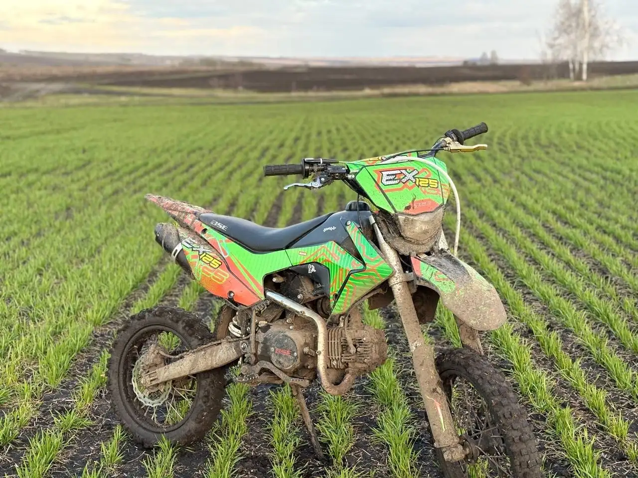 Продам мотоцикл BSE EX 125 - Мотоциклы (Запчасти) в Саранск