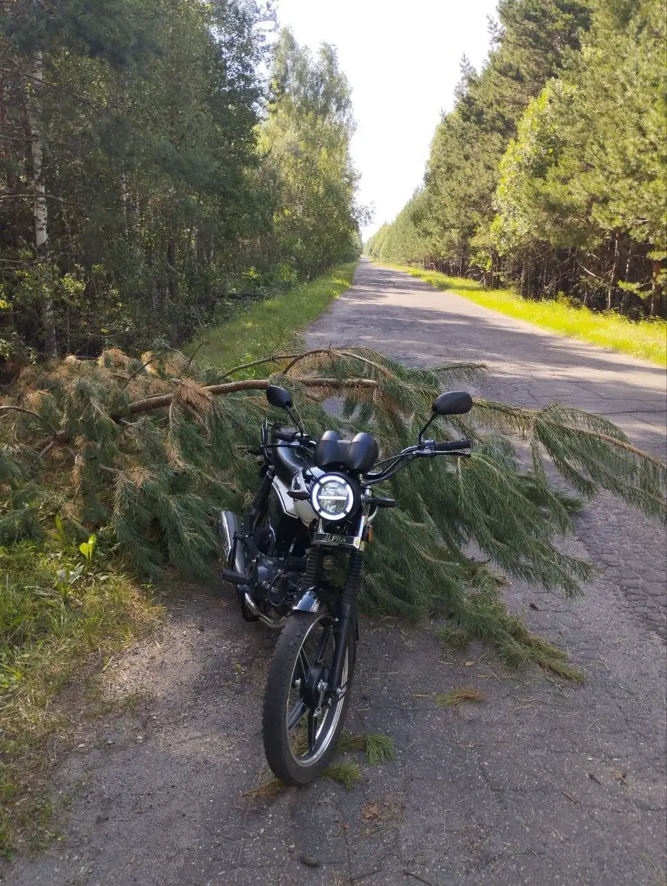 Продам мопед Alpha - Мотоциклы (Хобби и отдых) в Саранск