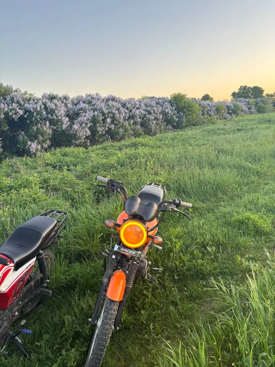 Продам Alpha GS 125 - Мотоциклы (Авто) в Саранск