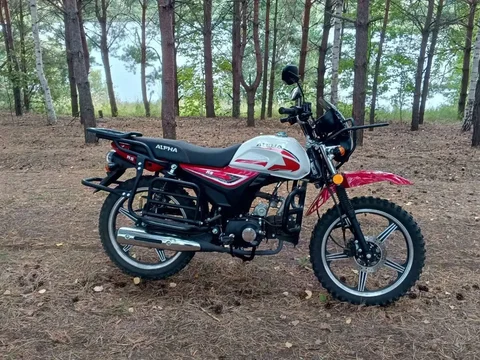 Alpha Forester RS11, 3000 км - частное объявление в Саранск