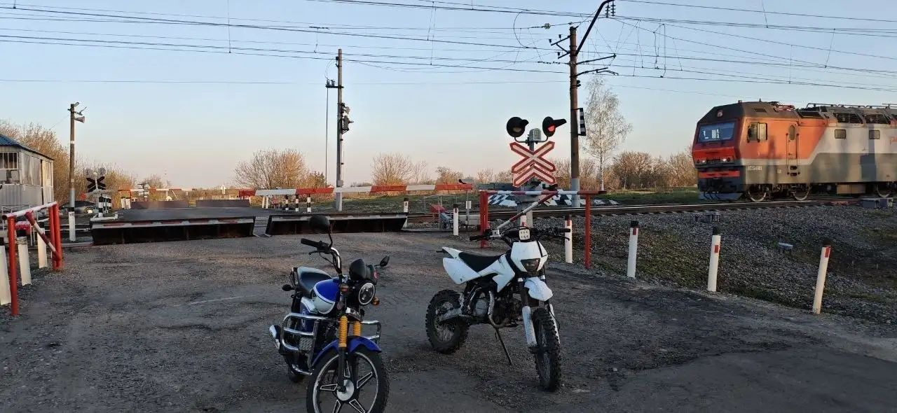 Продам питбайк Regulmoto Medalist - Мотоциклы (Запчасти) в Саранск