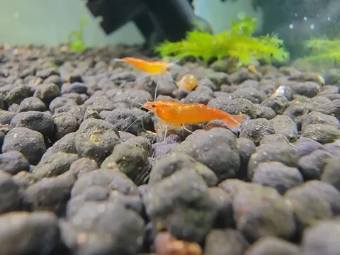 Продажа в Барахолке Томска - Барахолка в Томск