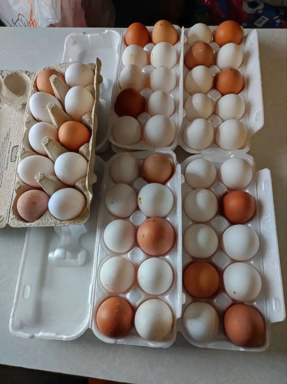 Продажа домашних яиц - Продукты питания (Барахолка) в Томск