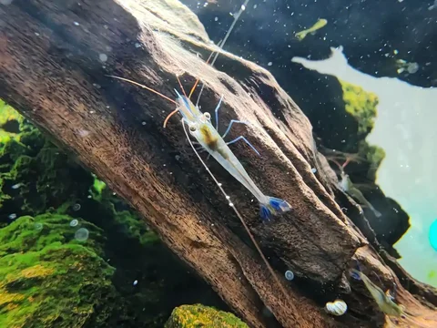 Продажа по 80 рублей - Посуда в Томск