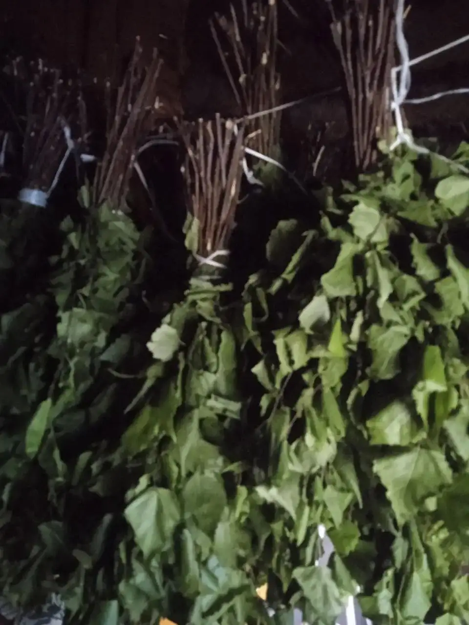 Продажа берёзовых и пихтовых веников - Другое (Барахолка) в Томск