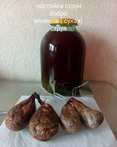 Продам бобровую настойку для здоровья - Лампы в Томск