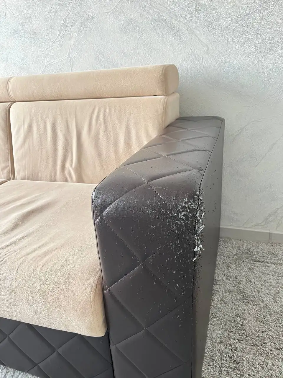 Продажа дивана с повреждениями - Мебель (Барахолка) в Томск
