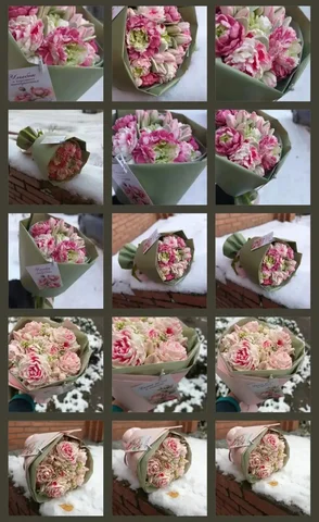 Букет из зефира ручной работы - Клетки для животных в Томск