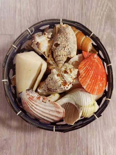 Ракушки с морского побережья Таиланда - частное объявление в Томск