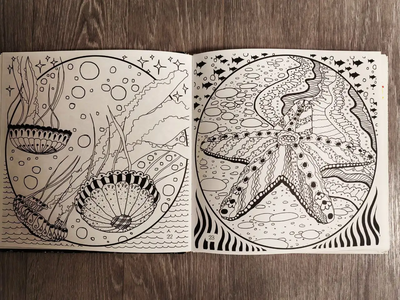 Раскраска для волшебного вечера - Творчество (Хобби и отдых) в Томск