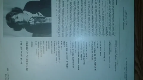 Пластинки СССР, Вероника Долина - Виниловые пластинки в Томск