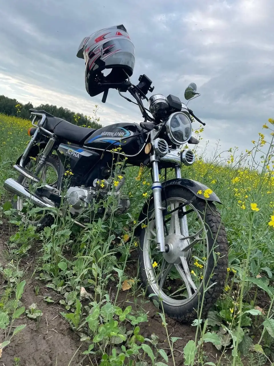 Продам мопед Motoland Alpha RX 11 - Мототехника (Барахолка) в Томск