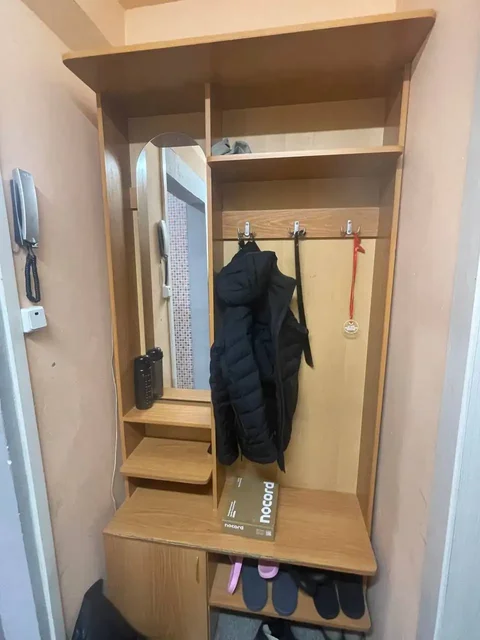 Кошки - Потеряшки в Томск