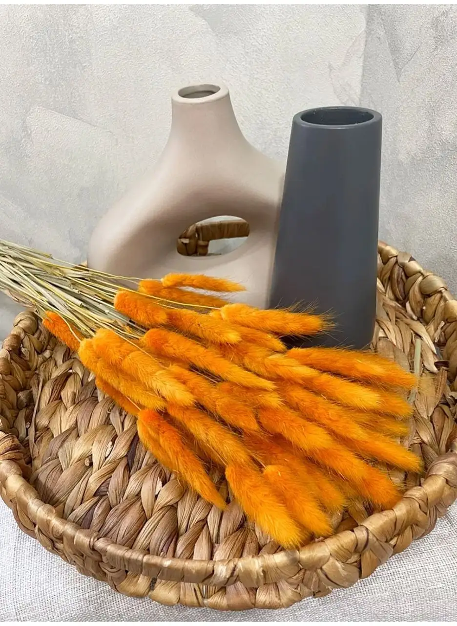 Сухоцветы Лагурус - Цветы (Хобби и отдых) в Томск