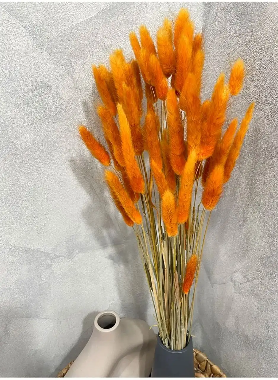 Сухоцветы Лагурус - Цветы (Хобби и отдых) в Томск