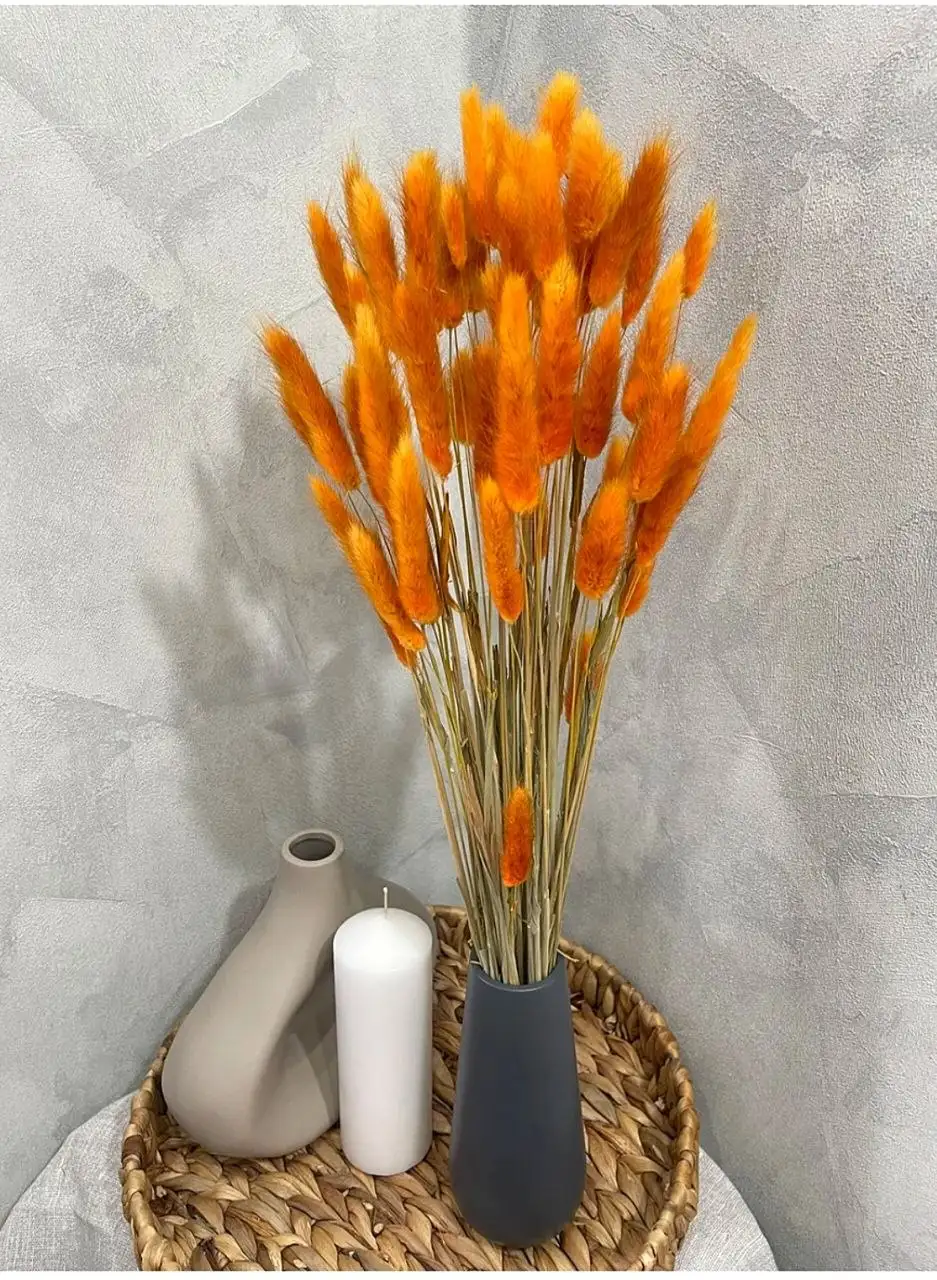 Сухоцветы Лагурус - Цветы (Хобби и отдых) в Томск