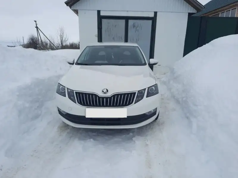 Skoda Octavia 2023 года, 1.5 AT, передний привод - Легковые автомобили (Авто) в Красноармейское
